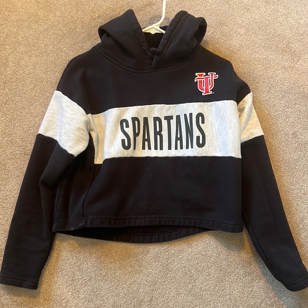 University of Tampa Cropped Hoodie